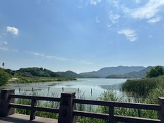 -鸣鹤古镇