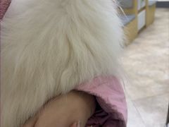 -美联众合动物医院·24h转诊中心