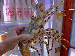 -强记龙虾钳(定安里店)