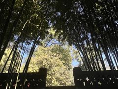 -泰山风景名胜区-普照寺