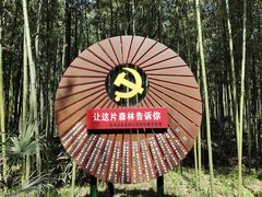 -黄海国家森林公园