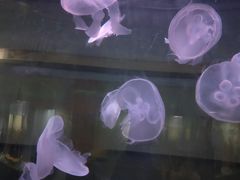 -常州海昌海洋探索馆