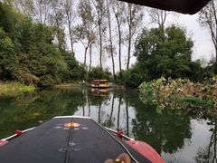 -溱湖国家湿地公园