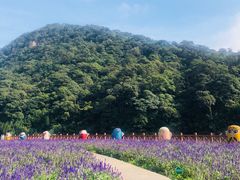 -广州市石门国家森林公园