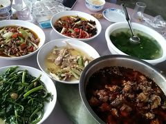 -南山植物园