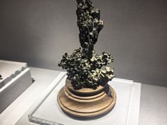 -天雅古玩城