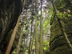 -梭布垭石林景区