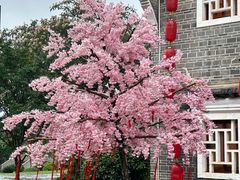 -客家大院·非遗赣南客家菜(郁孤台店)