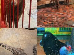 -荆州中山公园动物园