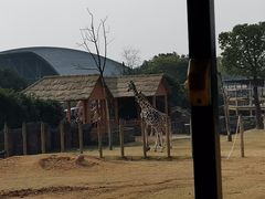 -杭州野生动物世界