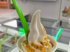 -Salud撒露欧洲冻酸奶(五道口购物中心店)