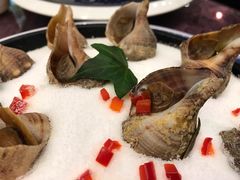 -宁波状元楼酒店(和义路店)