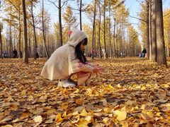 -汉景帝阳陵博物院