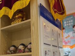 -芭比堂动物医院·心脏科·老年急重症·夜诊·吉雅分院