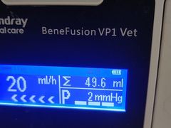 -北京观赏动物医院·24小时大型综合·猫专科·异宠专科