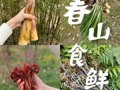 -炊烟·山房菜