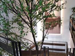 -蜜桃餐厅·伴山(湖滨商业街店)