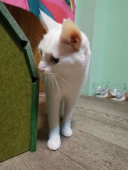 点击看大图 -齐伽生活馆·瑜伽·普拉提·阿育吠陀