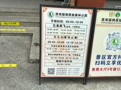 -西双版纳原始森林公园