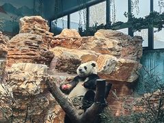 -石家庄市动物园