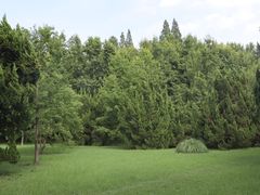 -上海滨江森林公园
