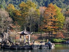 -四明山国家森林公园