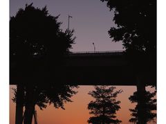 -西堤公园