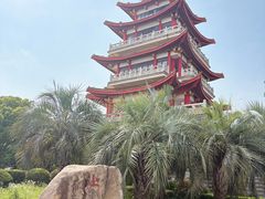-奉贤海滩