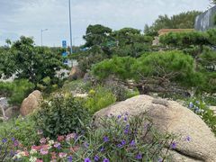 -罗红摄影艺术馆