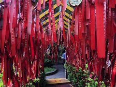 -墨江北回归线标志园