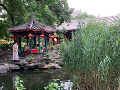 -白家大院·王府宫廷菜(苏州街店)