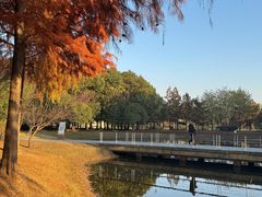 -同里国家湿地公园