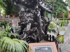 -大槐树寻根祭祖园