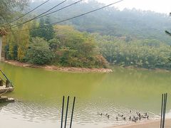 -滴水岩森林公园