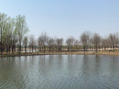 -东郊湿地公园