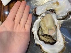 -蚝堡海鲜·威海菜·海肠捞饭·烧烤·亚洲吃蚝公司(幸福门店)
