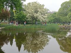 -泰丰公园