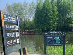 -溱湖国家湿地公园