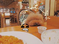 -more than meow吴止猫主题餐厅(承德 中船汇店)