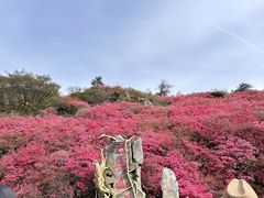 -木兰云雾山