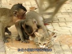 -昆明动物园