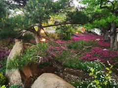 -罗红摄影艺术馆