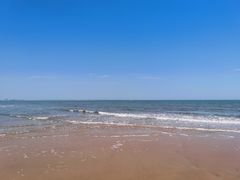 -日照海滨国家森林公园