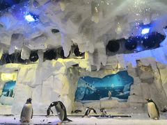 -华夏文旅海洋公园