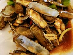 香葱炒蛏子-金地利海鲜酒楼(清凉门店)