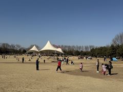 -石家庄市植物园