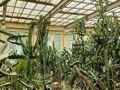 -石家庄市植物园
