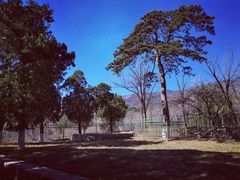 -大觉寺-停车场