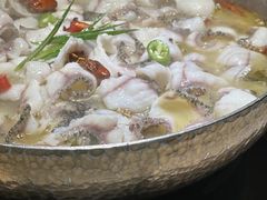 -青花椒花椒鱼(合生汇店)