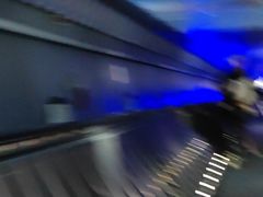 -白鹤梁水下博物馆